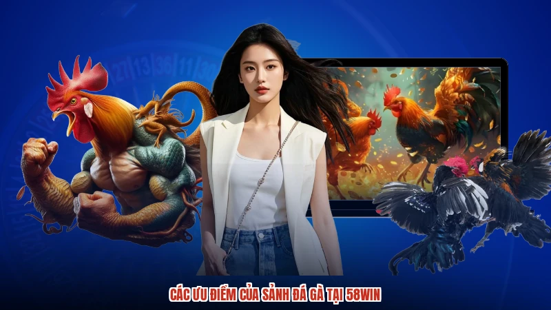 Các ưu điểm của sảnh đá gà tại 58WIN