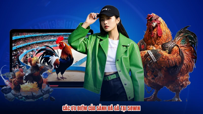 Các ưu điểm của sảnh đá gà tại 58WIN