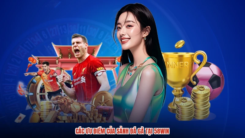 Các ưu điểm của sảnh đá gà tại 58WIN
