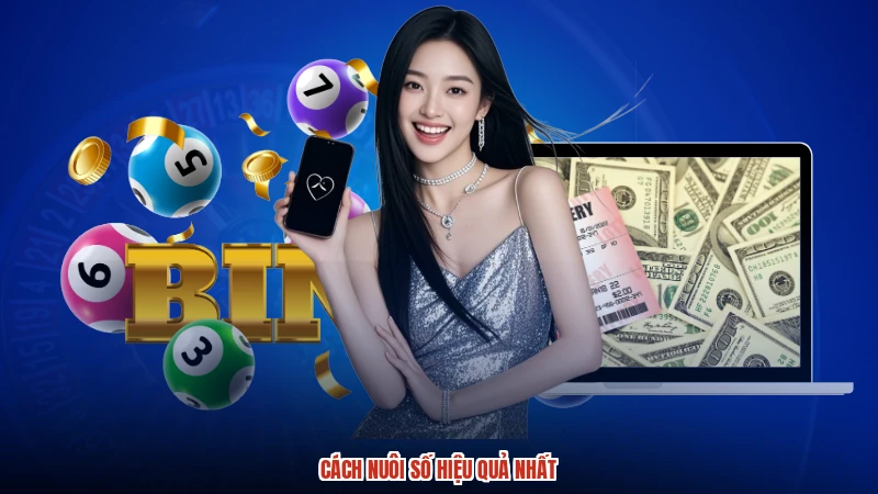 Cách nuôi số hiệu quả nhất