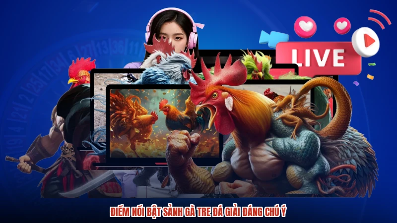 Điểm nổi bật sảnh gà tre đá giải đáng chú ý