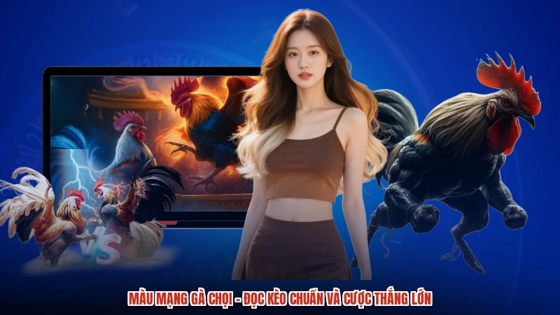 Màu Mạng Gà Chọi - Đọc Kèo Chuẩn Và Cược Thắng Lớn
