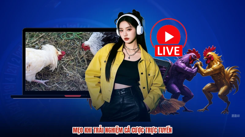 Mẹo khi trải nghiệm cá cược trực tuyến