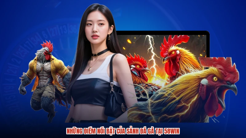 Những điểm nổi bật của sảnh đá gà tại 58WIN