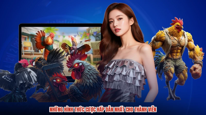 Những hình thức cược hấp dẫn nhất cho thành viên