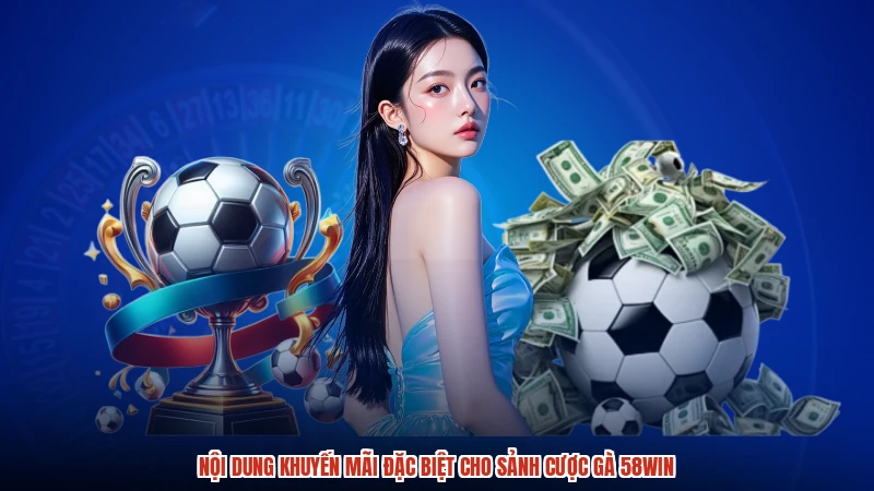 Nội dung khuyến mãi đặc biệt cho sảnh cược gà 58WIN
