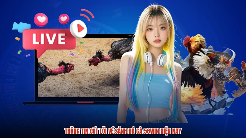 Thông tin cốt lõi về sảnh đá gà 58WIN hiện nay