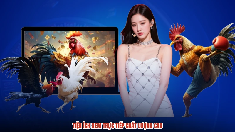 Tiện ích xem trực tiếp chất lượng cao
