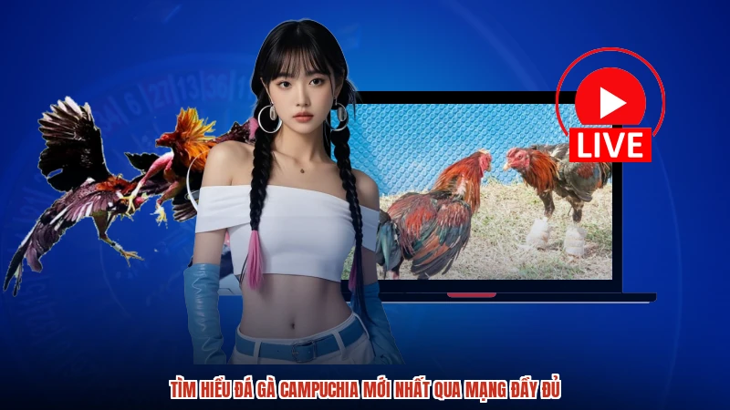 Tìm hiểu đá gà Campuchia mới nhất qua mạng đầy đủ
